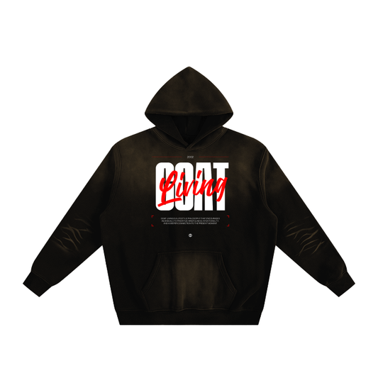 Sunfade Fleeced Hoodie